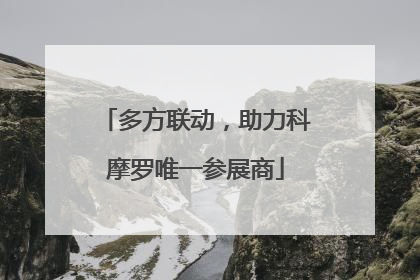 多方联动，助力科摩罗唯一参展商
