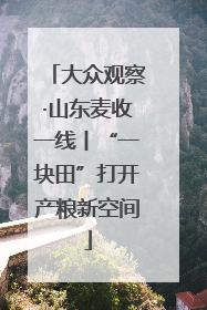 大众观察·山东麦收一线丨“一块田”打开产粮新空间