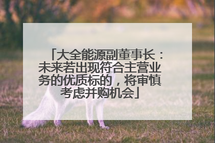 大全能源副董事长：未来若出现符合主营业务的优质标的，将审慎考虑并购机会
