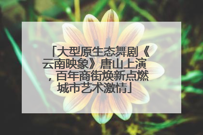 大型原生态舞剧《云南映象》唐山上演，百年商街焕新点燃城市艺术激情