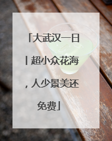 大武汉一日丨超小众花海，人少景美还免费