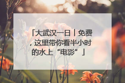 大武汉一日︱免费，这里带你看半小时的水上“电影”