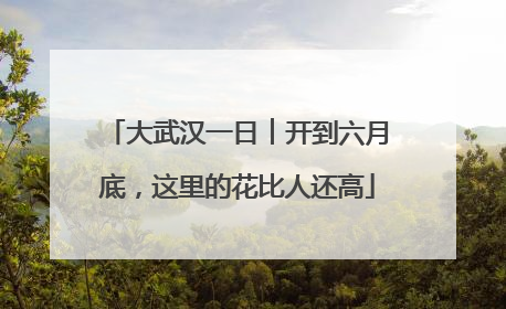 大武汉一日︱开到六月底，这里的花比人还高