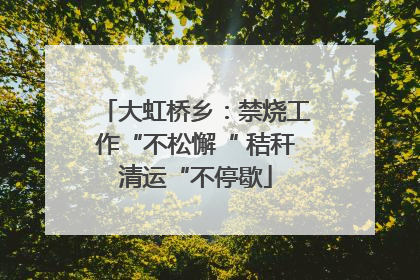 大虹桥乡：禁烧工作“不松懈“ 秸秆清运“不停歇