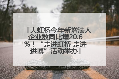 大虹桥今年新增法人企业数同比增20.6%！“走进虹桥 走进进博”活动举办