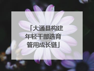 大通县构建年轻干部选育管用成长链