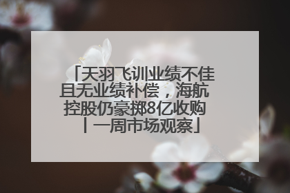 天羽飞训业绩不佳且无业绩补偿，海航控股仍豪掷8亿收购丨一周市场观察