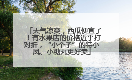 天气凉爽，西瓜便宜了！有水果店的价格近乎打对折，“小个子”的特小凤、小糖丸更好卖