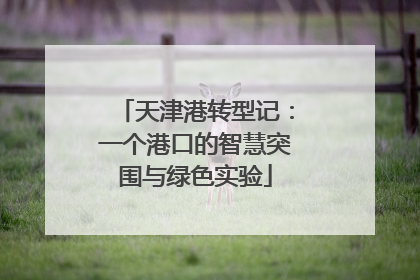 天津港转型记：一个港口的智慧突围与绿色实验