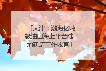 天津：渤海亿吨级油田海上平台陆地建造工作收官