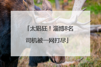 太猖狂！淄博8名司机被一网打尽
