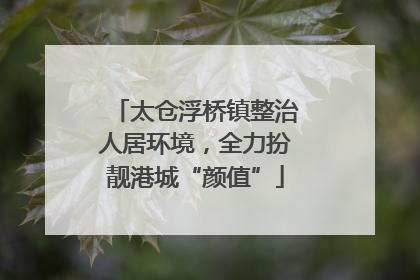 太仓浮桥镇整治人居环境，全力扮靓港城“颜值”