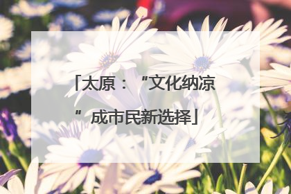 太原：“文化纳凉”成市民新选择