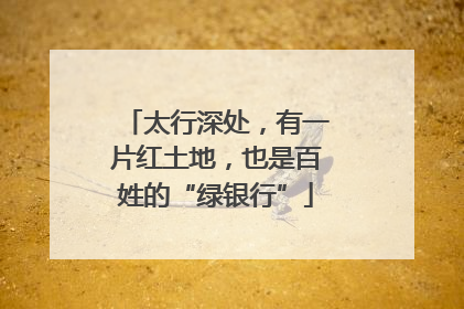 太行深处，有一片红土地，也是百姓的“绿银行”