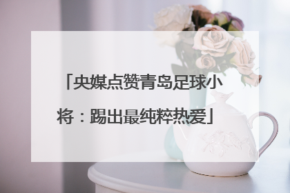 央媒点赞青岛足球小将：踢出最纯粹热爱