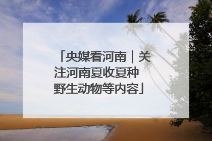 央媒看河南｜关注河南夏收夏种 野生动物等内容