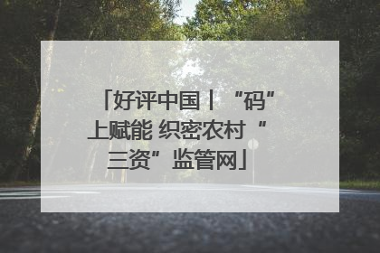 好评中国丨“码”上赋能 织密农村“三资”监管网