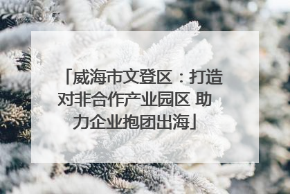 威海市文登区：打造对非合作产业园区 助力企业抱团出海
