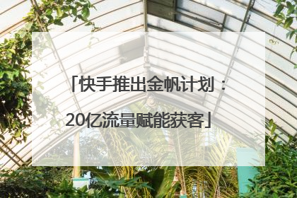 快手推出金帆计划：20亿流量赋能获客