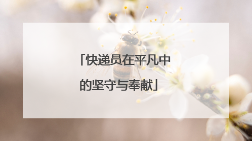 快递员在平凡中的坚守与奉献