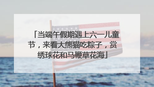 当端午假期遇上六一儿童节，来看大熊猫吃粽子，赏绣球花和马鞭草花海