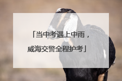 当中考遇上中雨，威海交警全程护考