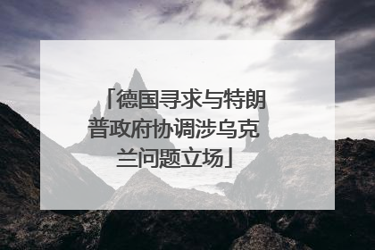 德国寻求与特朗普政府协调涉乌克兰问题立场