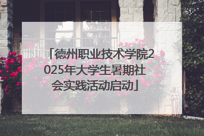 德州职业技术学院2025年大学生暑期社会实践活动启动