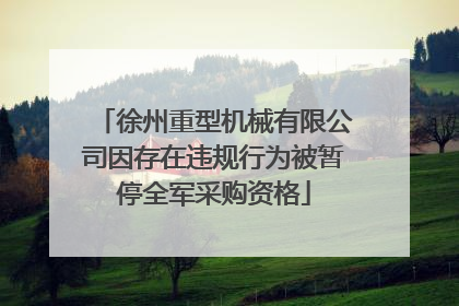 徐州重型机械有限公司因存在违规行为被暂停全军采购资格