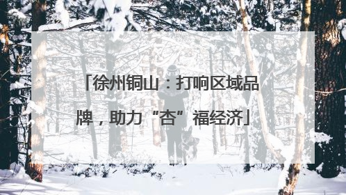 徐州铜山：打响区域品牌，助力“杏”福经济