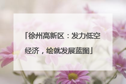 徐州高新区：发力低空经济，绘就发展蓝图