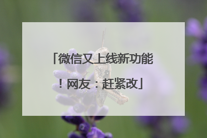 微信又上线新功能！网友：赶紧改