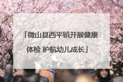 微山县西平镇开展健康体检 护航幼儿成长