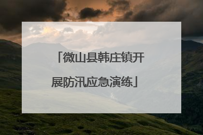 微山县韩庄镇开展防汛应急演练