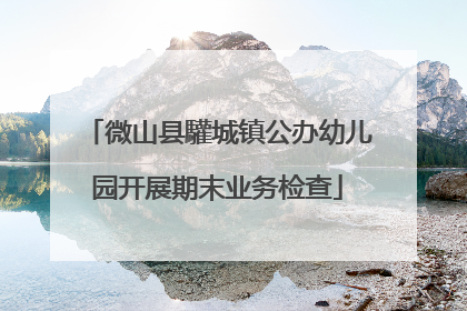 微山县驩城镇公办幼儿园开展期末业务检查