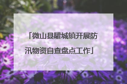 微山县驩城镇开展防汛物资自查盘点工作