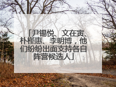 尹锡悦、文在寅、朴槿惠、李明博，他们纷纷出面支持各自阵营候选人