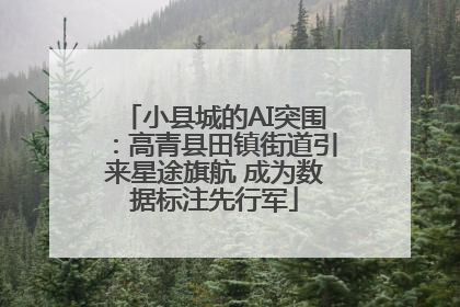 小县城的AI突围：高青县田镇街道引来星途旗航 成为数据标注先行军