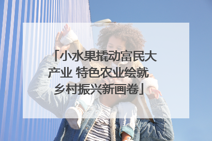 小水果撬动富民大产业 特色农业绘就乡村振兴新画卷