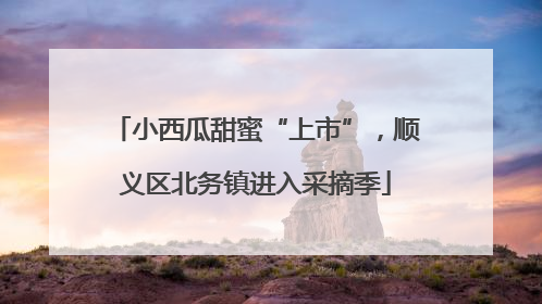小西瓜甜蜜“上市”，顺义区北务镇进入采摘季