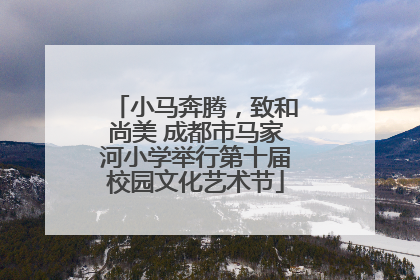 小马奔腾，致和尚美 成都市马家河小学举行第十届校园文化艺术节