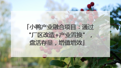 小鸭产业融合项目：通过“厂区改造+产业置换”，盘活存量，增值增效