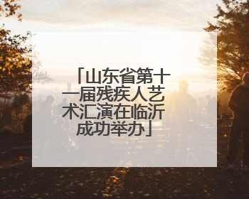 山东省第十一届残疾人艺术汇演在临沂成功举办