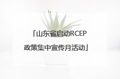 山东省启动RCEP政策集中宣传月活动