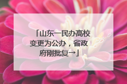 山东一民办高校变更为公办，省政府刚批复→