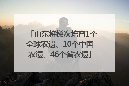 山东将梯次培育1个全球农遗、10个中国农遗、46个省农遗