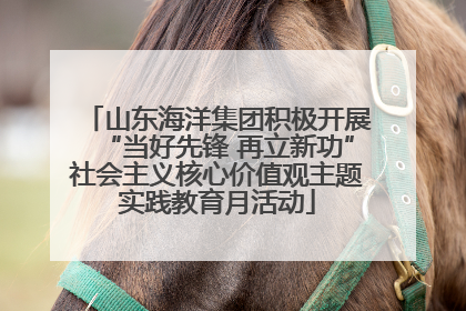 山东海洋集团积极开展“当好先锋 再立新功”社会主义核心价值观主题实践教育月活动