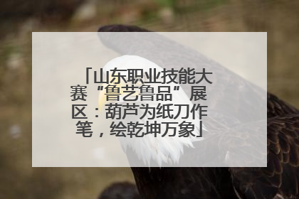山东职业技能大赛“鲁艺鲁品”展区：葫芦为纸刀作笔，绘乾坤万象