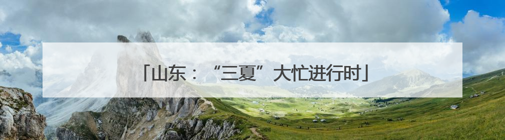 山东：“三夏”大忙进行时