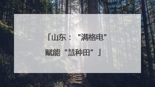 山东：“满格电”赋能“慧种田”